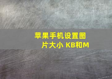 苹果手机设置图片大小 KB和M